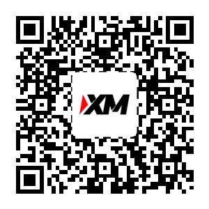 XM Broker